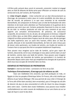 Guide pratique des soins énergétiques pour thérapeutes et particuliers