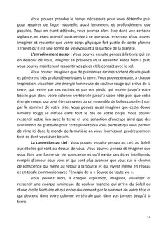 Guide pratique des soins énergétiques pour thérapeutes et particuliers