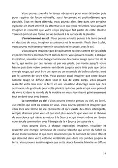 Guide pratique des soins énergétiques pour thérapeutes et particuliers