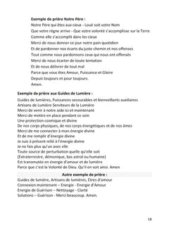 Guide pratique des soins énergétiques pour thérapeutes et particuliers