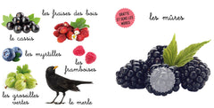 Mon bel imagier des odeurs - Les odeurs de la forêt - Gratte et sens 6 parfums