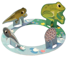 Quand le têtard devient une grenouille