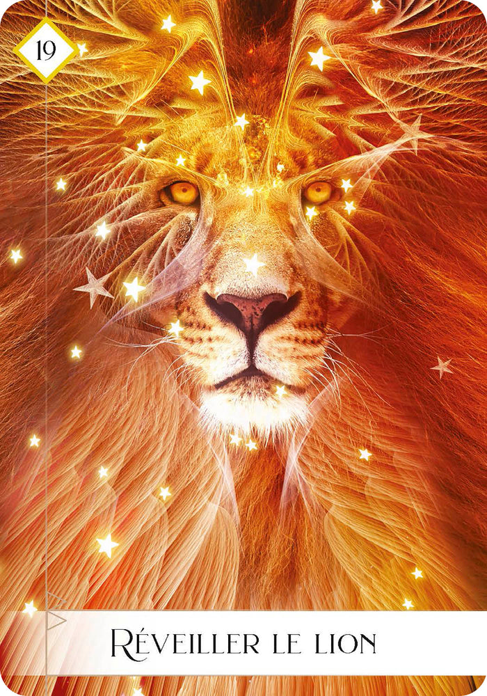 L'oracle des 7 énergies