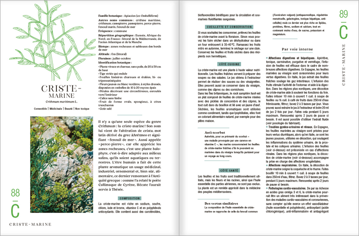 Le guide des plantes sauvages