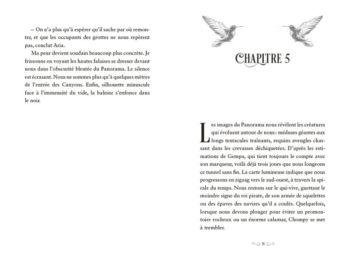 Les treize sorcières, T2 : La mer de l'Eternité