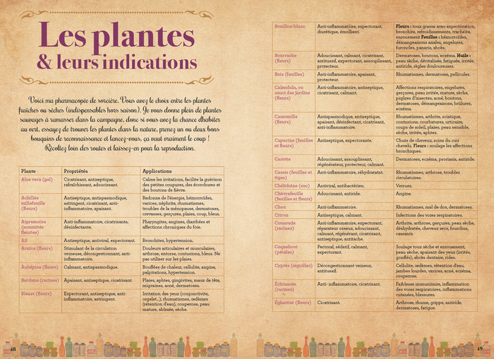 Mon cahier de sorcière guérisseuse