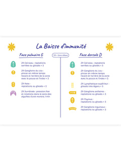 Mes cartes de réflexologie palmaire