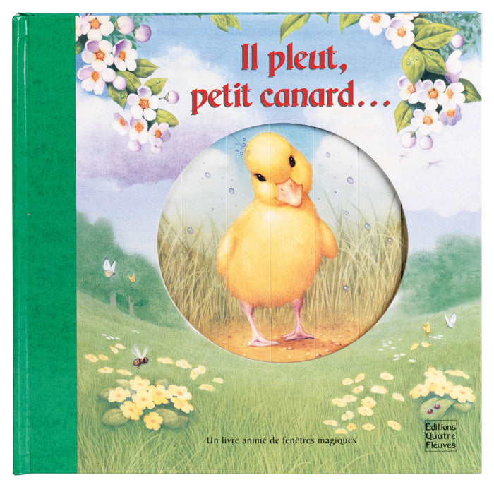 Il pleut petit canard ...