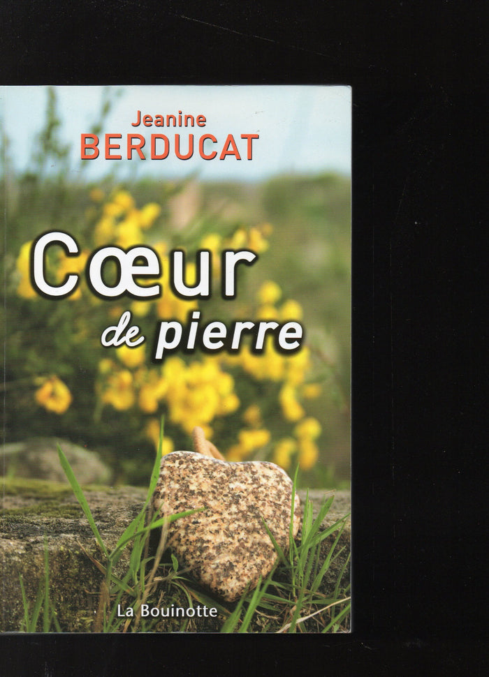 Coeur de pierre