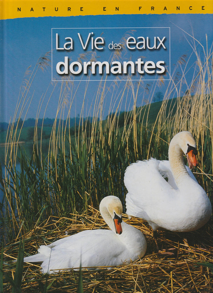 La vie des eaux dormantes