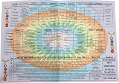 Planche des chakras et leurs caractéristiques