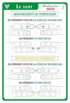 Méthode d'apprentissage du rééquilibrage énergétique par les méridiens Byols