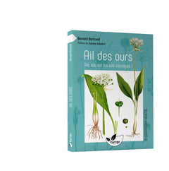 Ail des ours, ail rose, ail des cerfs, ail à tête ronde… aïe, aïe, aïe les ails sauvages !