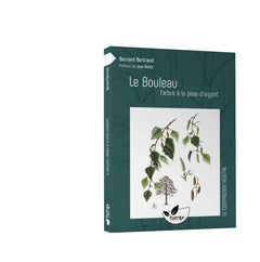 Le bouleau, l'arbre à la peau d'argent