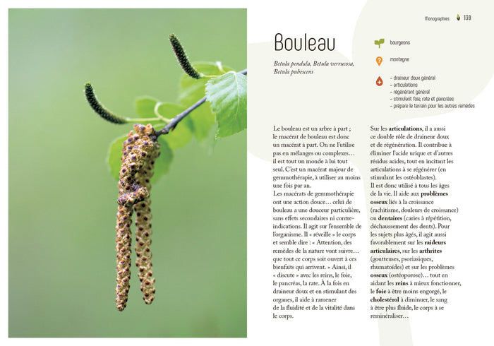 Gemmothérapie - Les bourgeons au service de la santé