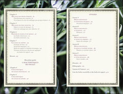 120 huiles essentielles en magie - Combinaisons olfactives & vertus magiques