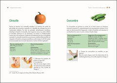Prodigieuse lactofermentation - Produire facilement à la maison des aliments vivants
