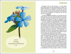 Les Fleurs de Bach - ABC