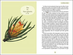 Les Fleurs de Bach - ABC