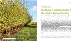 Planter des arbres pour les abeilles - L'api-foresterie de demain