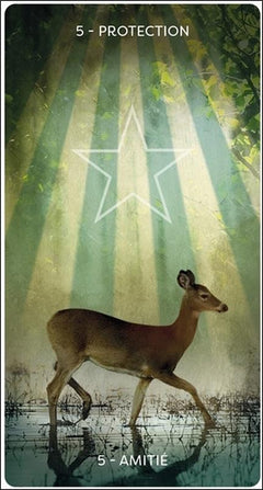 L'oracle d'Hildegarde