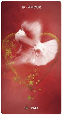 L'oracle d'Hildegarde