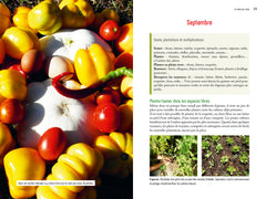 La permaculture au jardin mois par mois