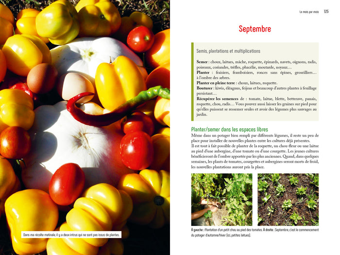 La permaculture au jardin mois par mois