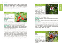 Jardins - Forêts - Un nouvel art de vivre et de produire