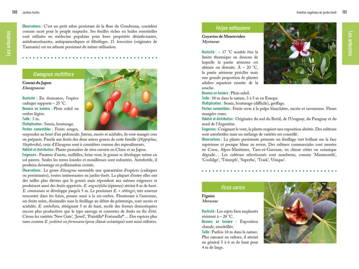 Jardins - Forêts - Un nouvel art de vivre et de produire