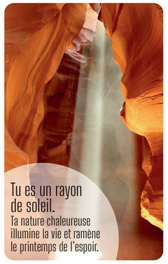 Bons mots