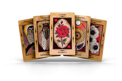 Oracle Apollonia - Coffret