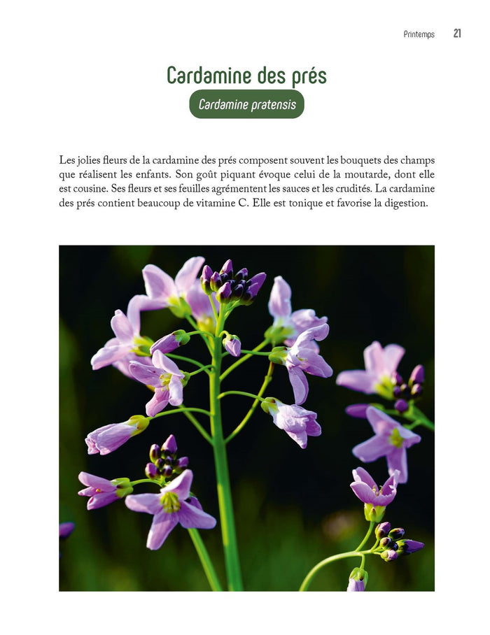 Cuisine sauvage au fil des saisons - 112 recettes familiales et gourmandes avec les plantes qui nous entourent