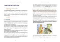 Médecine holistique et quantique - L’approche globale intégrative de la thérapie