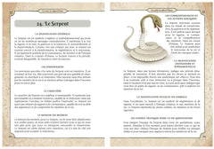 L'Oracle magique des sabbats - Coffret