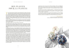 Éloge des indisciplinées - Il n’y a pas de mauvaises plantes