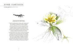 Éloge des indisciplinées - Il n’y a pas de mauvaises plantes