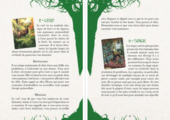 L'oracle des familiers - Coffret