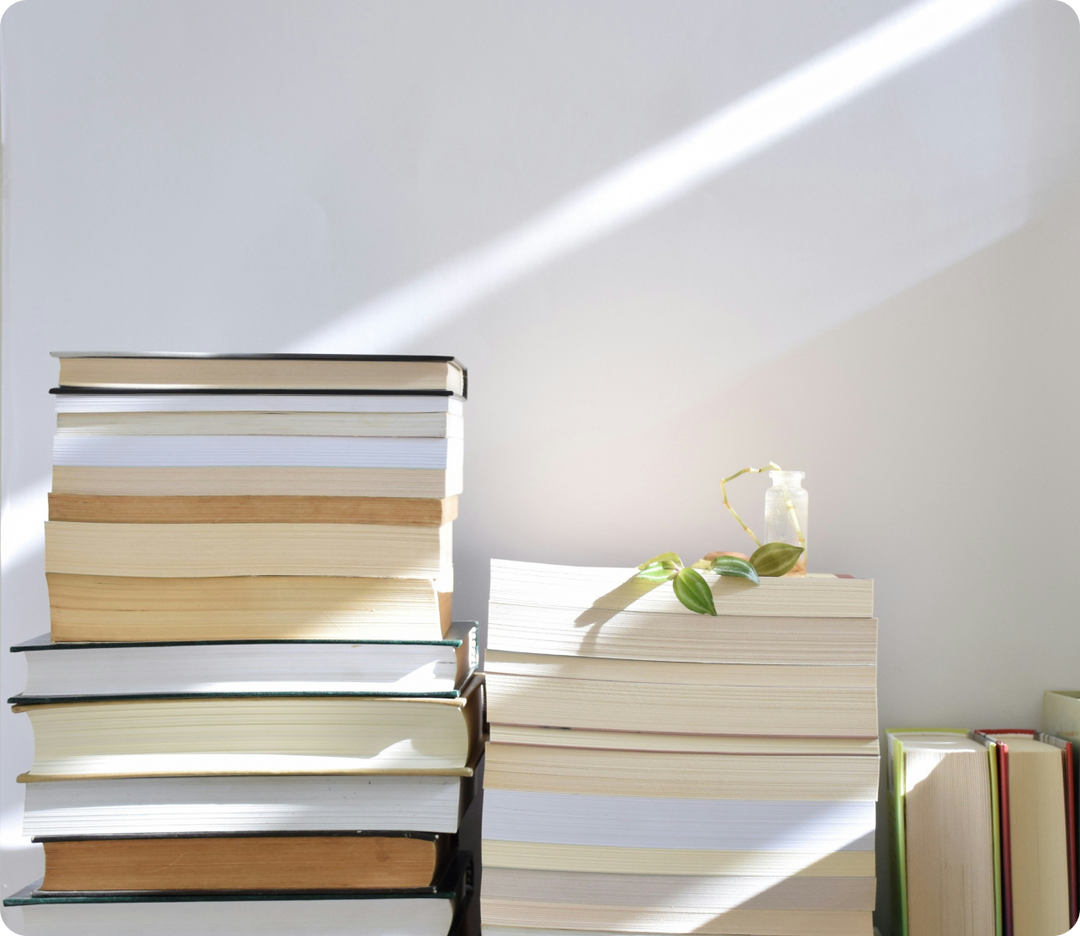 La Bourse aux Livres et le modèle du dépôt-vente