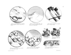 Dés-agréments d'un voyage d'agrément
