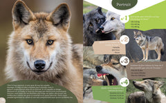 Le Loup