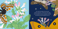 Les p'tits papillons