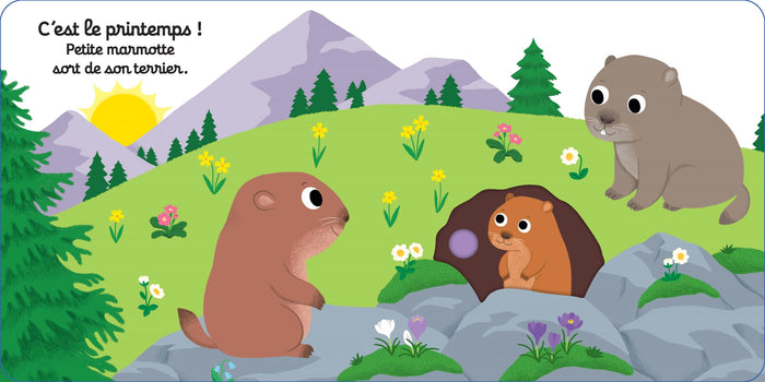 Bonne nuit, petite marmotte !