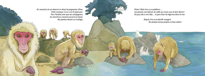 Pas bêtes les bêtes !