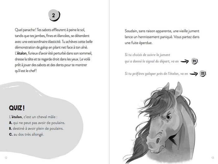 Tu es le héros ! Dans la peau d'un mustang