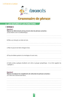 Réussir mon CRPE - Mon cahier d'entrainement Français