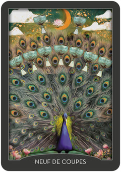 Coffret Tarot des gardiens de la nuit