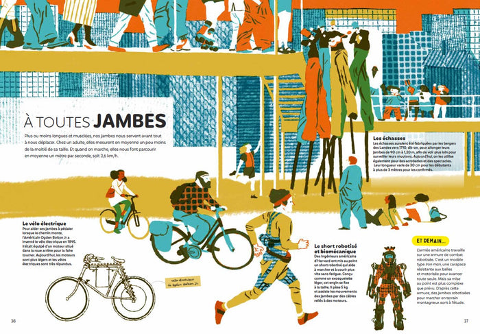 De la tête aux pieds