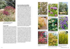 Pas d'eau au jardin, et alors ?