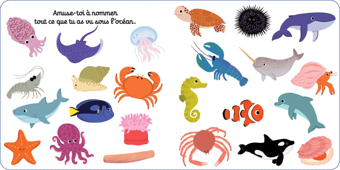 Mon imagier animé sous l'océan